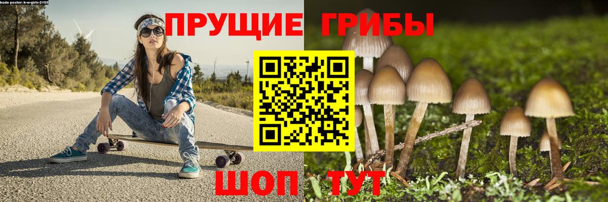 Галлюциногенные грибы прущие грибы Алатырь